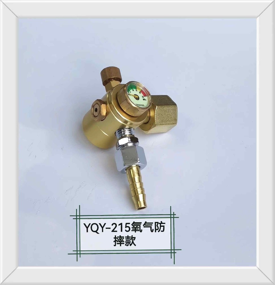 YQY-215氧氣表