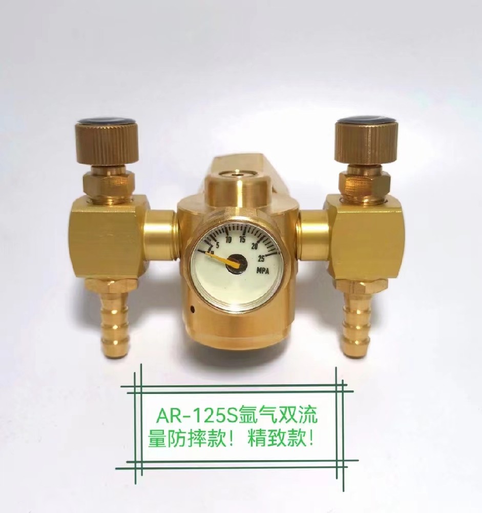 AR-125S節(jié)能防摔雙流量氬氣表